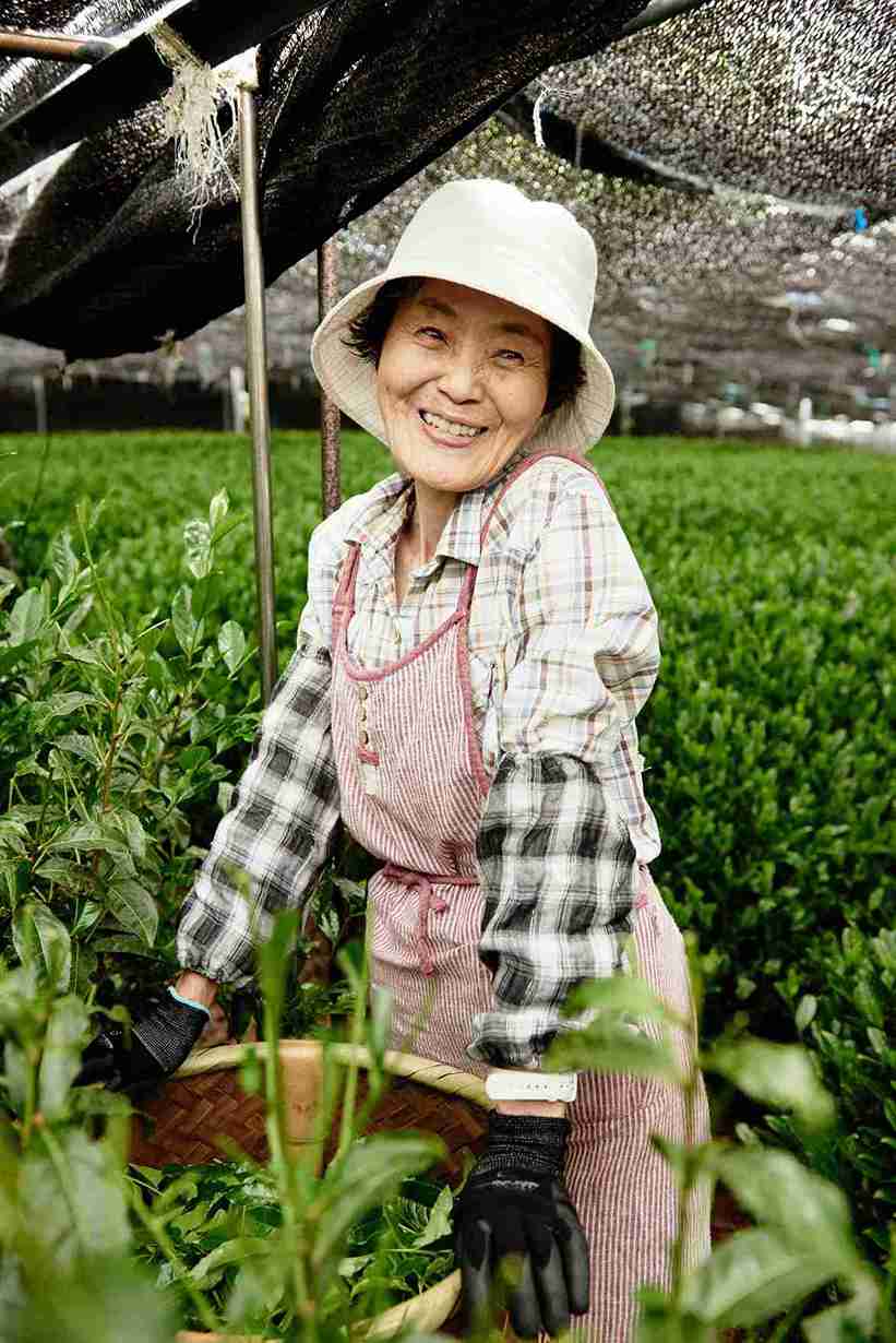 Japanese farmer smiling in a matcha farm