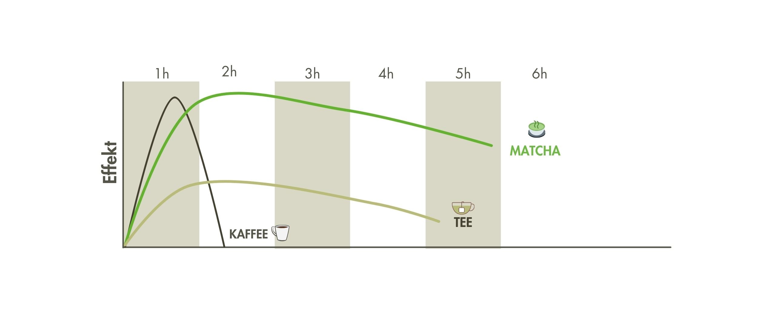Matcha vs coffee caffeine effect infographic
