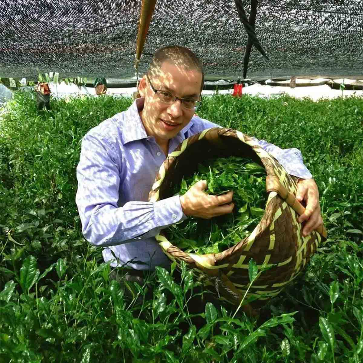 A man holding a basquet of tencha leaves